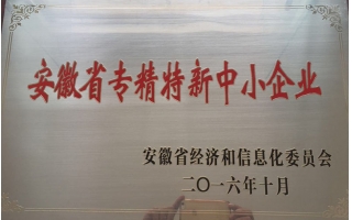 安徽省專(zhuān)精特新中小企業(yè)證書(shū)